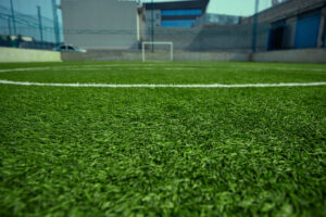 artificial Grass in Tampa
