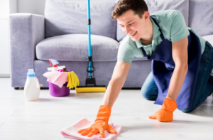 professional carpet cleaning company, professional carpet cleaner