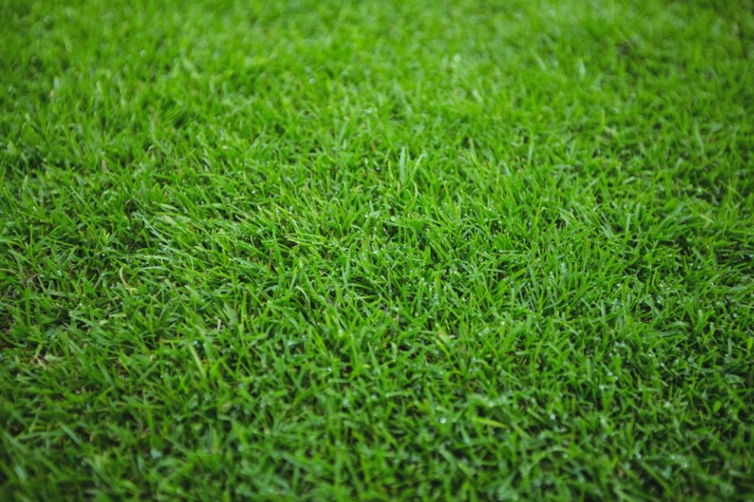 artificial grass perth