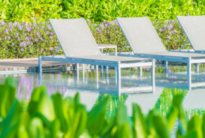 Budget-Friendly Pool Landscaping Ideas That Make a Big Impact