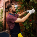 Sparkling Clean: Exploring High-Pressure Cleaning in Melbourne