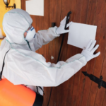 Prepare Your Home for a Pest Removal Service Visit