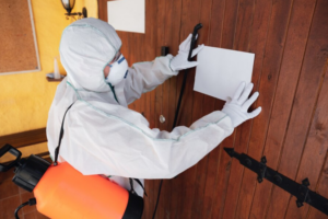 Prepare Your Home for a Pest Removal Service Visit