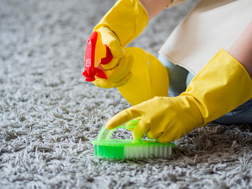 sacramento carpet cleaning