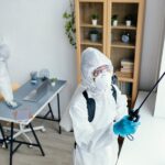 Top Pest Control Companies in Basildon: Your Guide to the Best Services