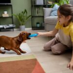 Which Cues and Training Tips Are Essential for Puppy Development?