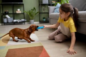 Which Cues and Training Tips Are Essential for Puppy Development?